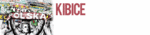 http://kibicezabezpieczenstwem.pl